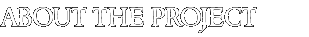 About the Project